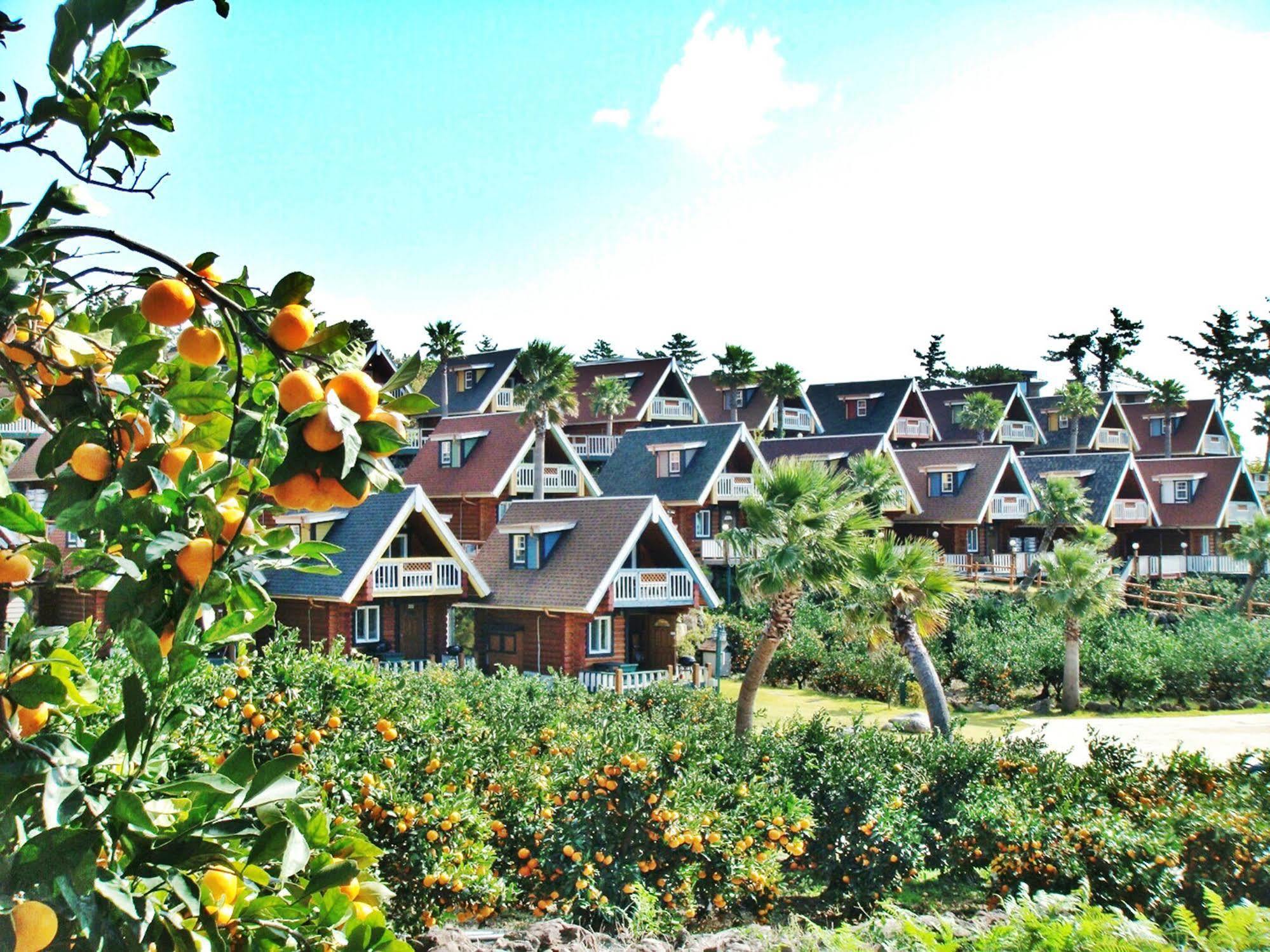 Jungmun Log Pension & Resort Sogüpcho Exteriér fotografie